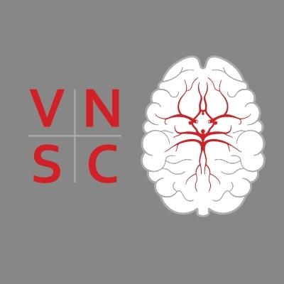 Vascular Neurology of Southern California logo